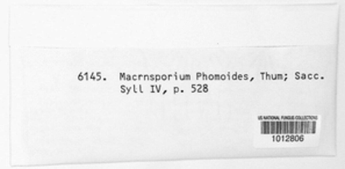 Macrosporium phomoides image